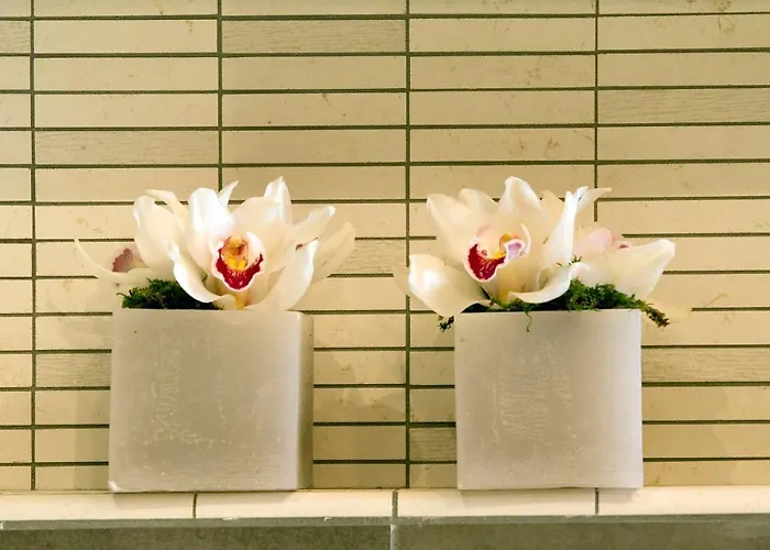 Western Galileo Padova